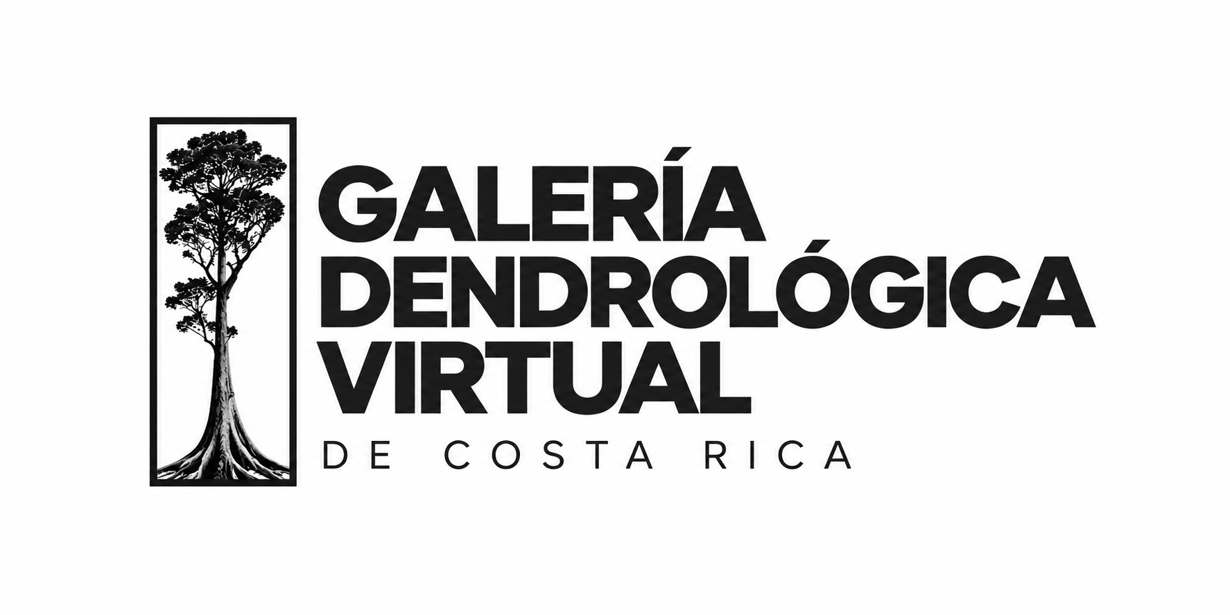Galería Dendrológica Virtual